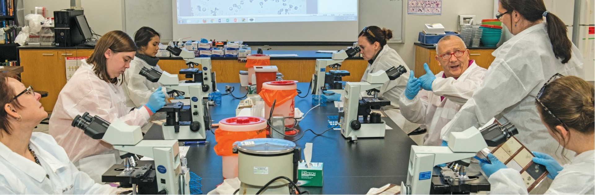 Medical Laboratory Science, B.S. | University Of Illinois Springfield